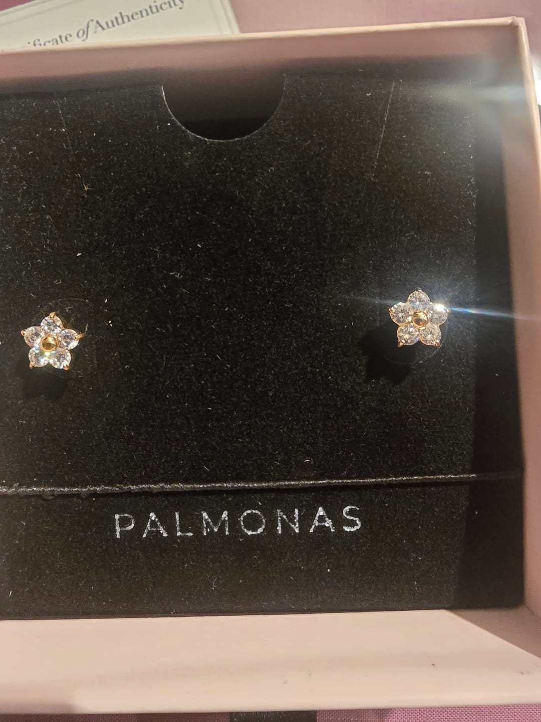 Customer photo review of Crystal Nova Studs
