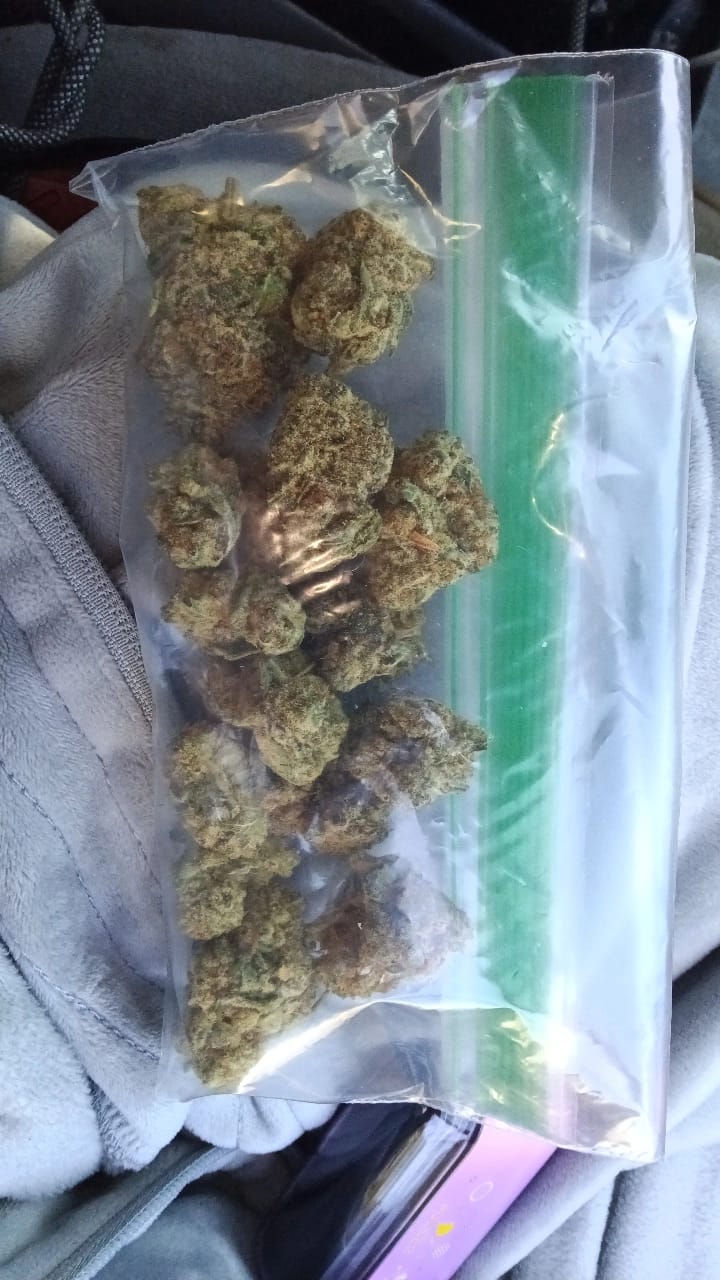 Customer photo review of Gummy Sorbet - THCa Flower