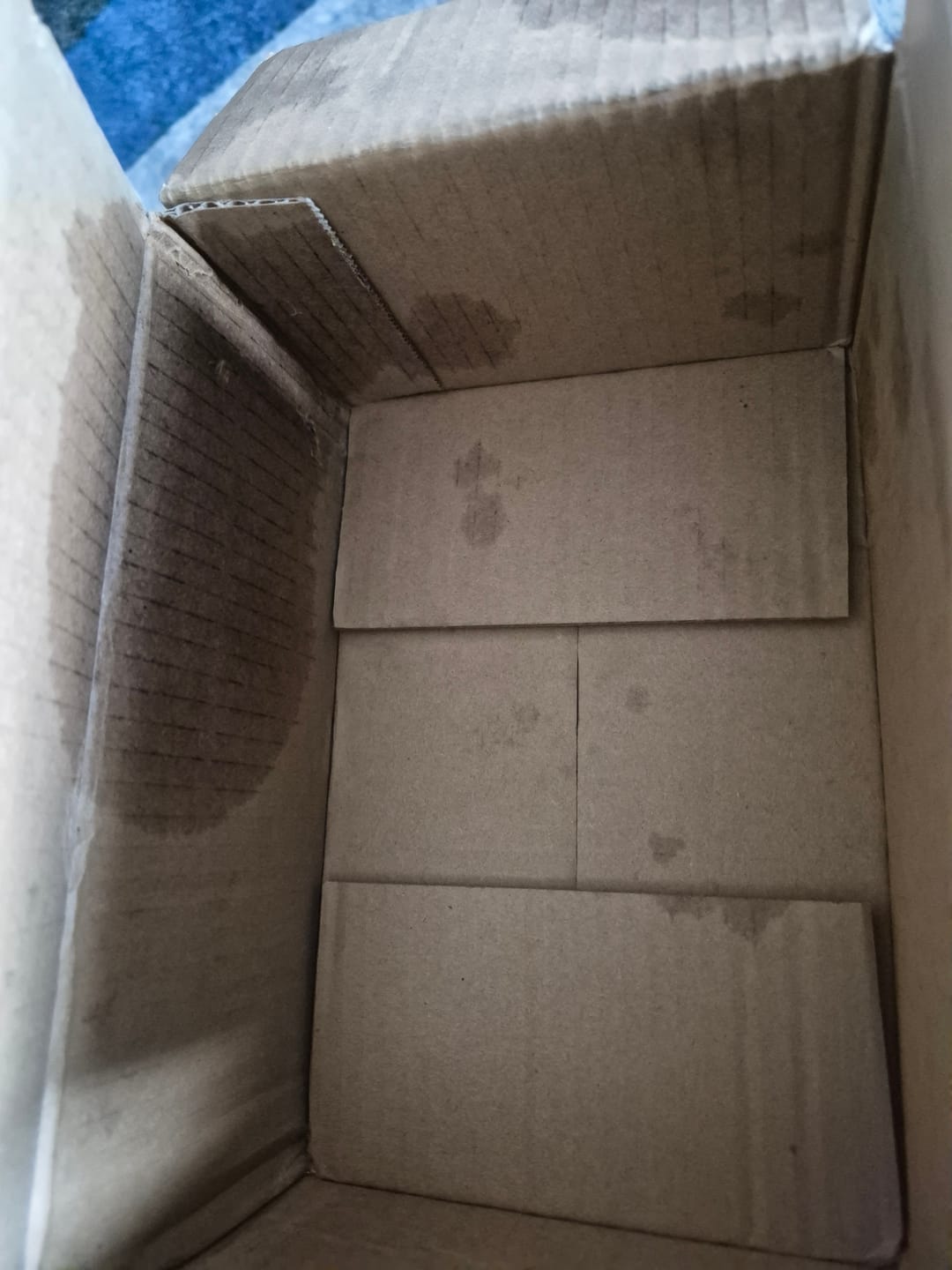 Customer photo review of Respected Roots Package Protection i