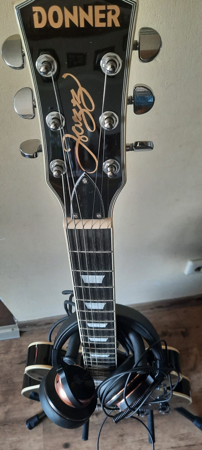 Customer photo review of Donner DJP-1000 Jazz E-Gitarre