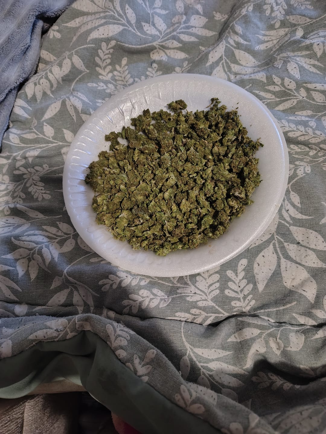 Customer photo review of Greenhouse Smalls