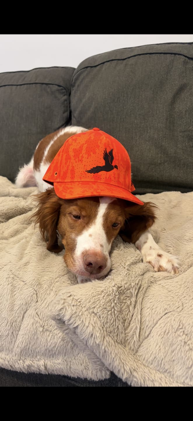 Customer photo review of Flush Repel Hat