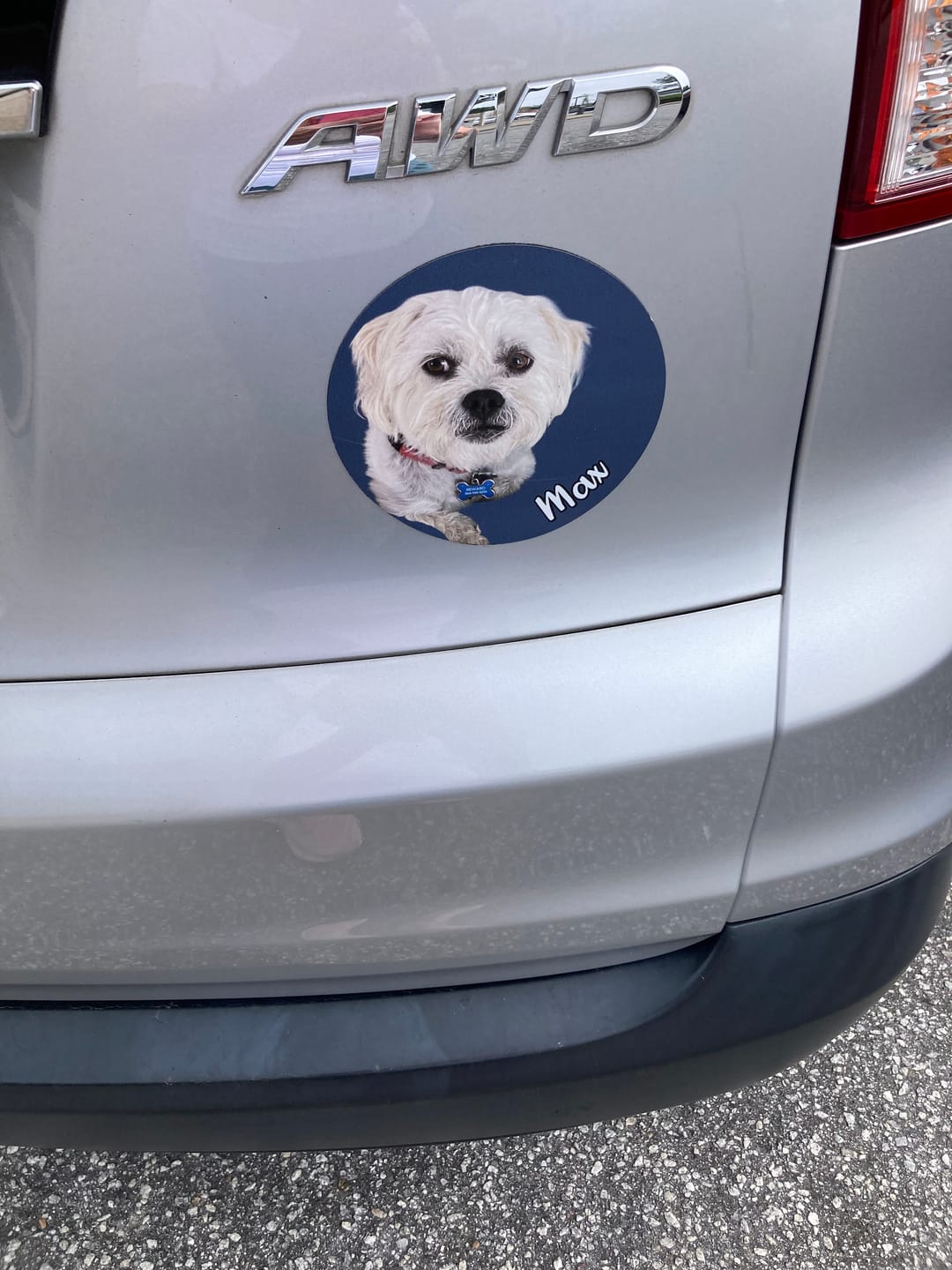Customer photo review of Your photo - Personalized Car Magnet