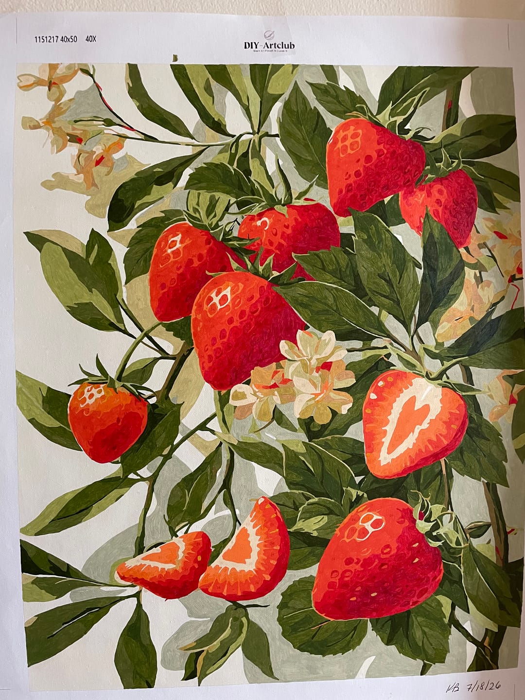 Customer photo review of Blooming Strawberries | Paint by Number