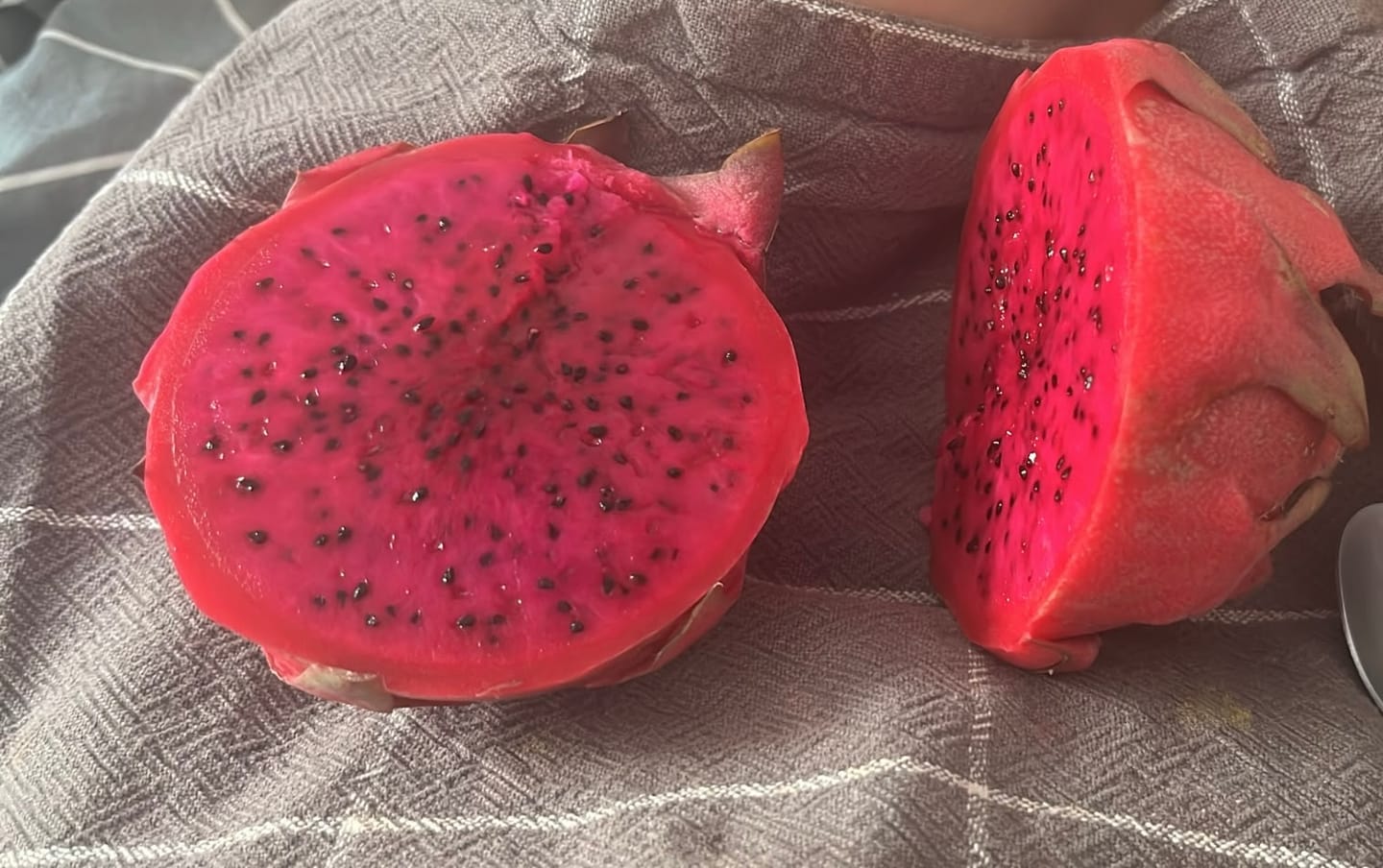 Customer photo review of Drachenfrucht rot Bio von Salvador Sparpreis-Box %