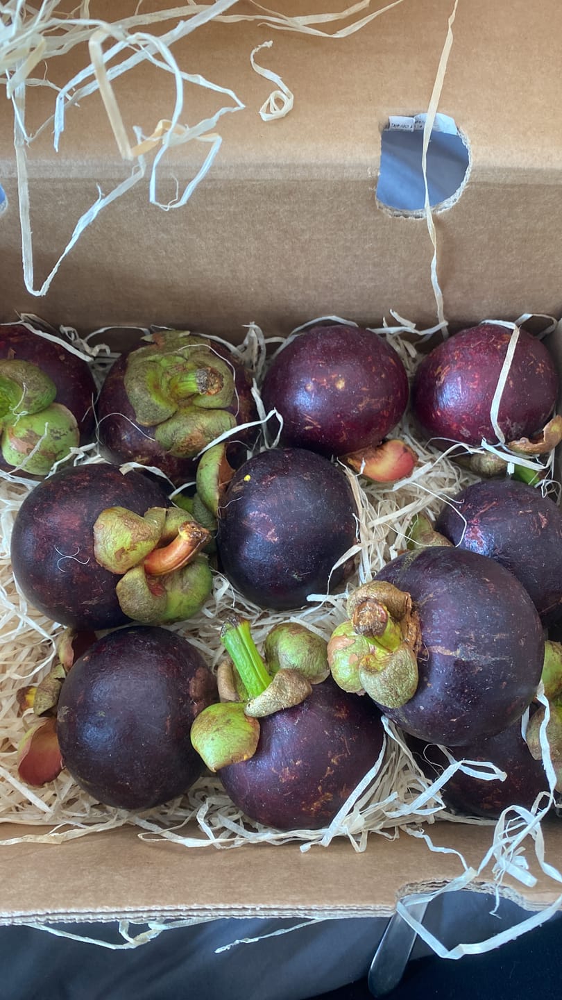 Customer photo review of Mangostan (Mangosteen) Sommeraktion %