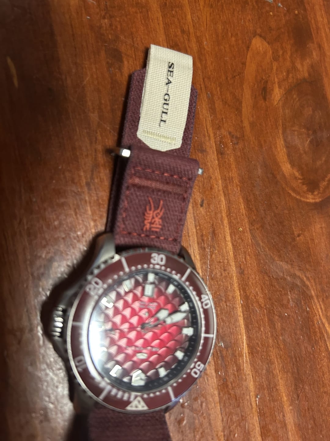 Customer photo review of Ocean Series Pro "Dragon Kings of the Four Seas" Dragon-scale Dial 300m Waterproof Diving Watch 44mm