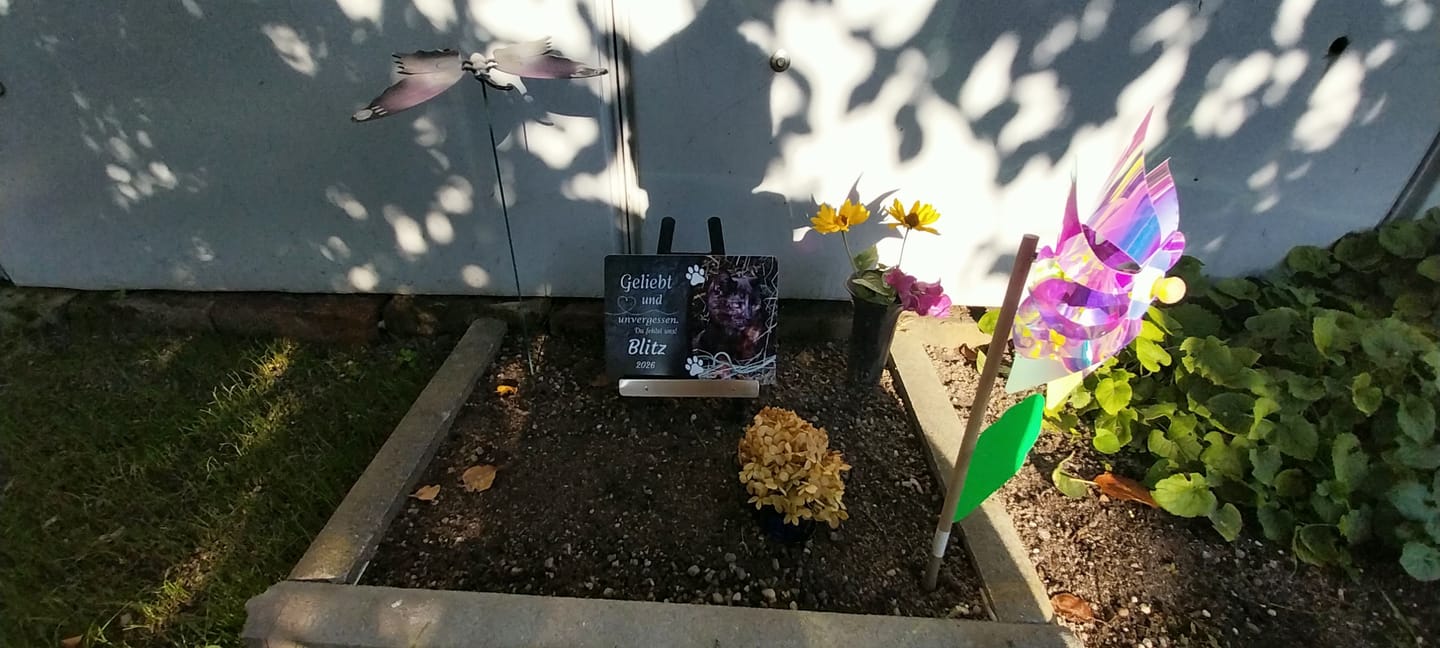 Customer photo review of Katzen Gedenktafel mit Foto & Spruch (UV- & Wetterfest)