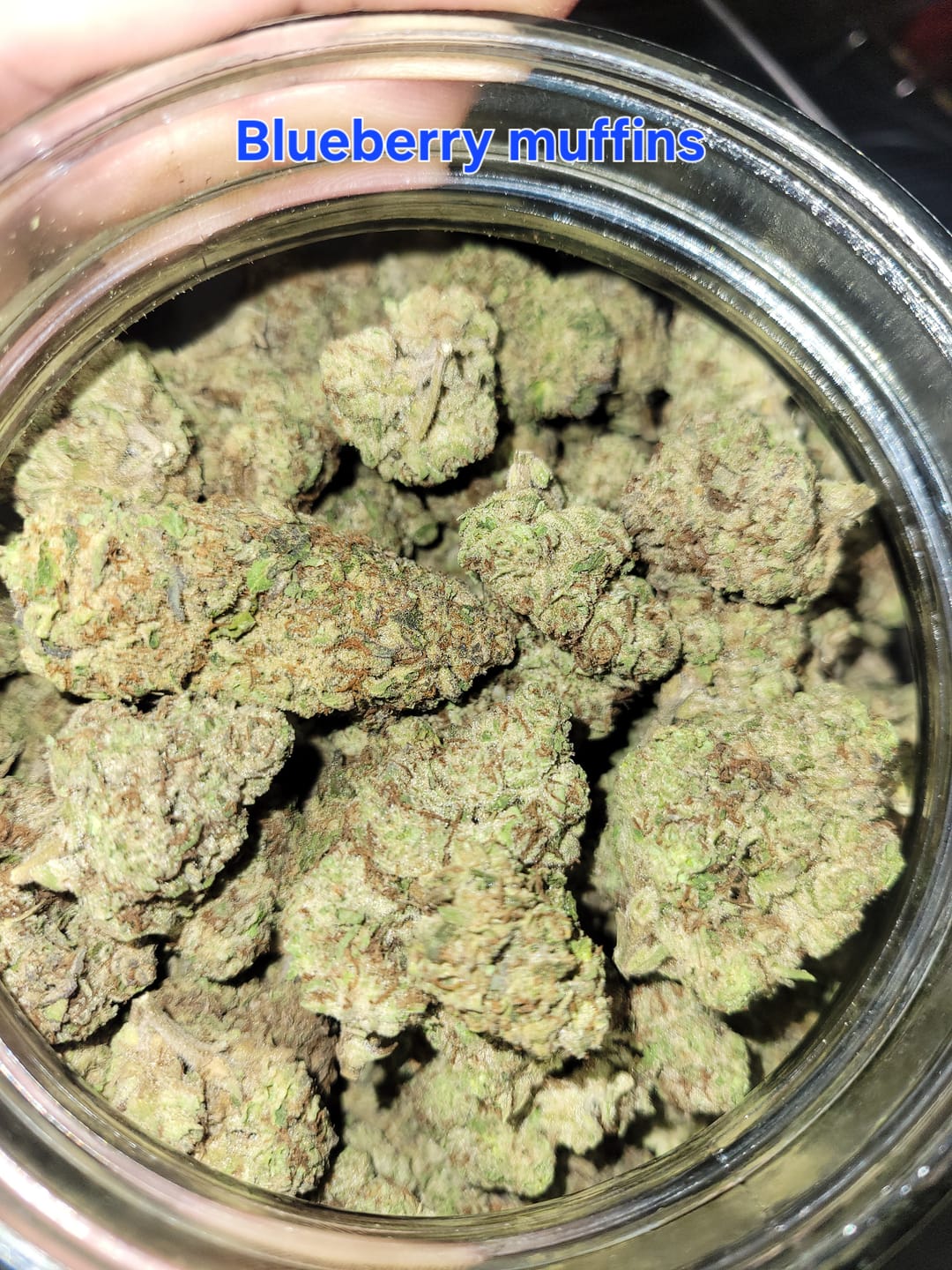 Customer photo review of Blueberry Muffins - Bulk - Indica
