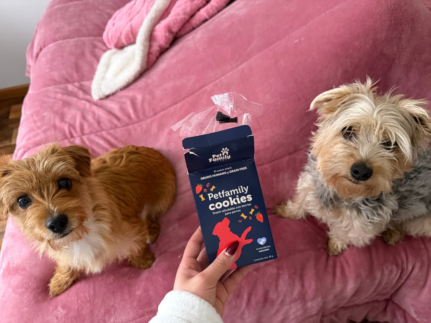 Customer photo review of PetFamily Cookies