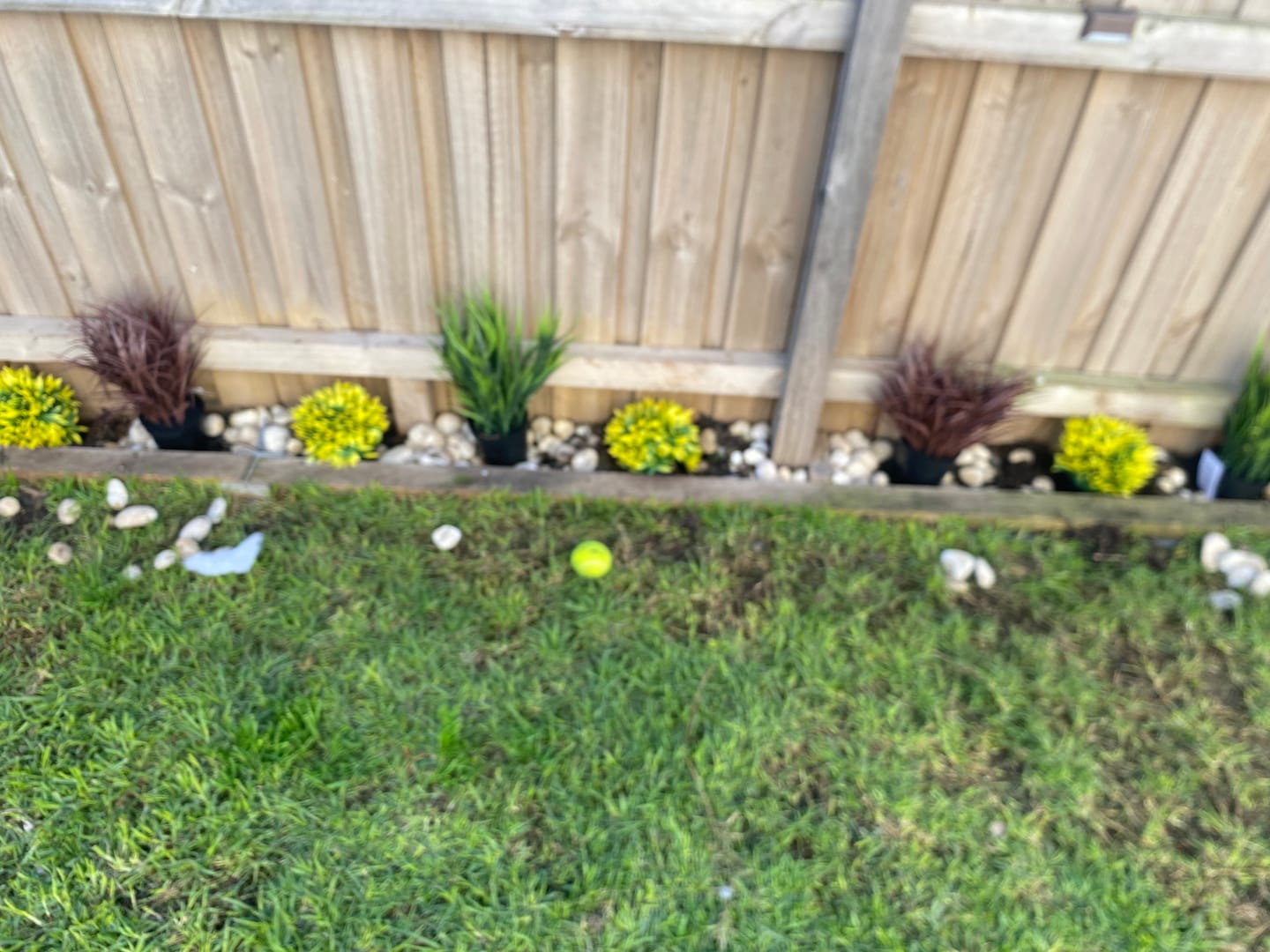 Customer photo review of Potted Artificial Grass Burgundy Plant UV Resistant 38cm