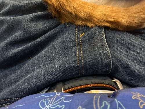 Customer photo review of Nubuck Costiera Belt