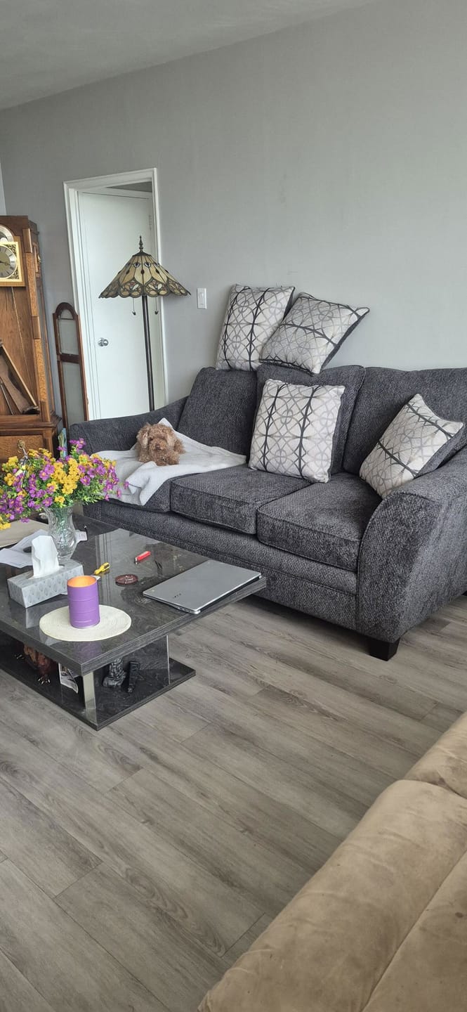 Customer photo review of PearlyPup™ Anti-Tartar Dental Spray for Dogs
