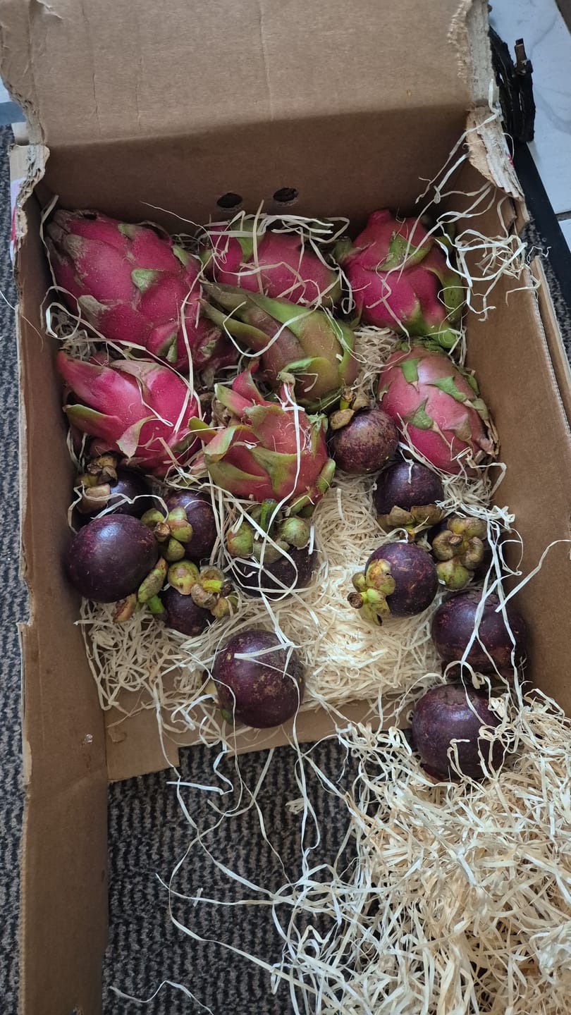 Customer photo review of Drachenfrucht rot von Julian