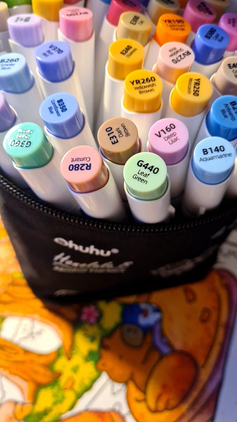 Customer photo review of Ohuhu Honolulu 48 Colors Dual Tips Alcohol Art Markers (New Color Codes)