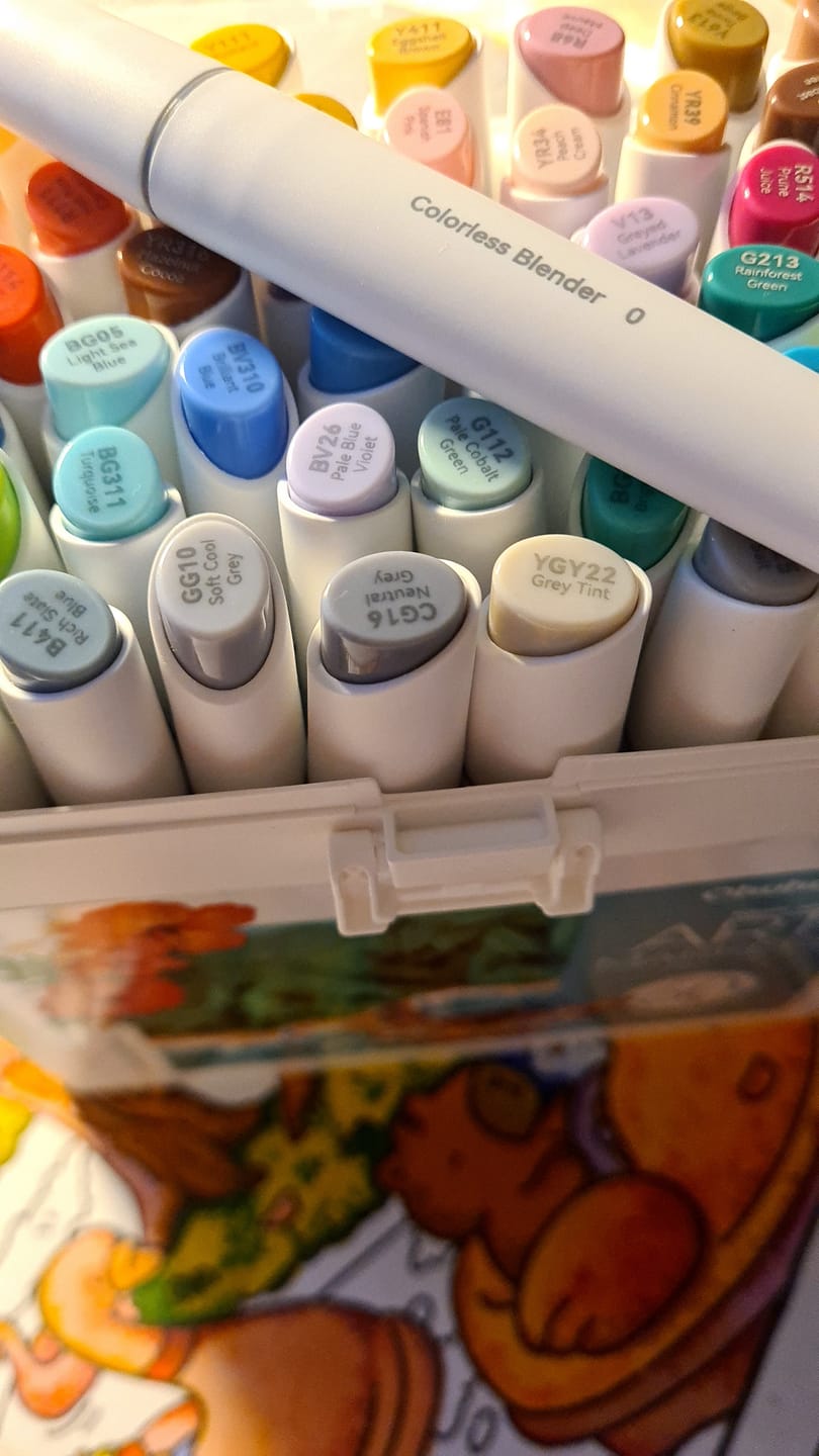 Customer photo review of Ohuhu Kaala Five Tones Slim Broad and Fine Dual Tips Alcohol Art Markers