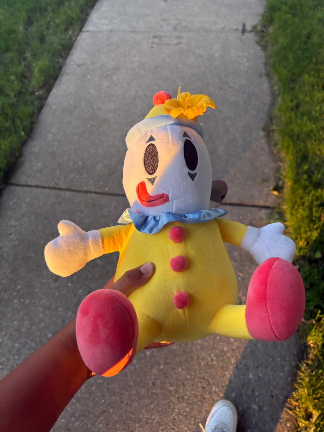 Customer photo review of Kaufmo Plush