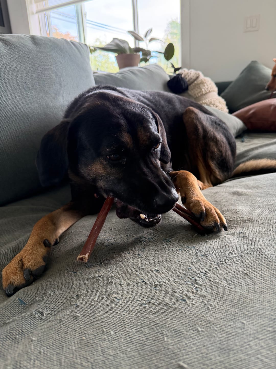 Customer photo review of Trail Mix