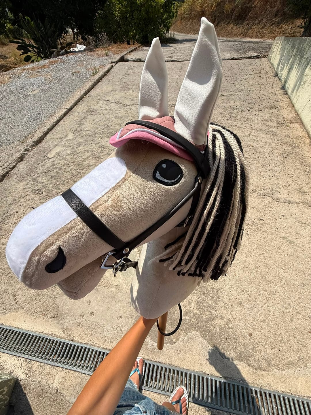 Customer photo review of Hobby Horse Aurora with Black Halter