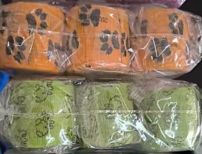 Customer photo review of お散歩万能バンド