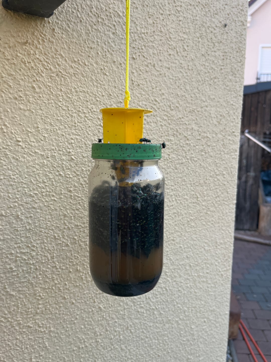Customer photo review of Liquid Trap Köder – Bio-Lockstoff für Fliegen & Bremsen