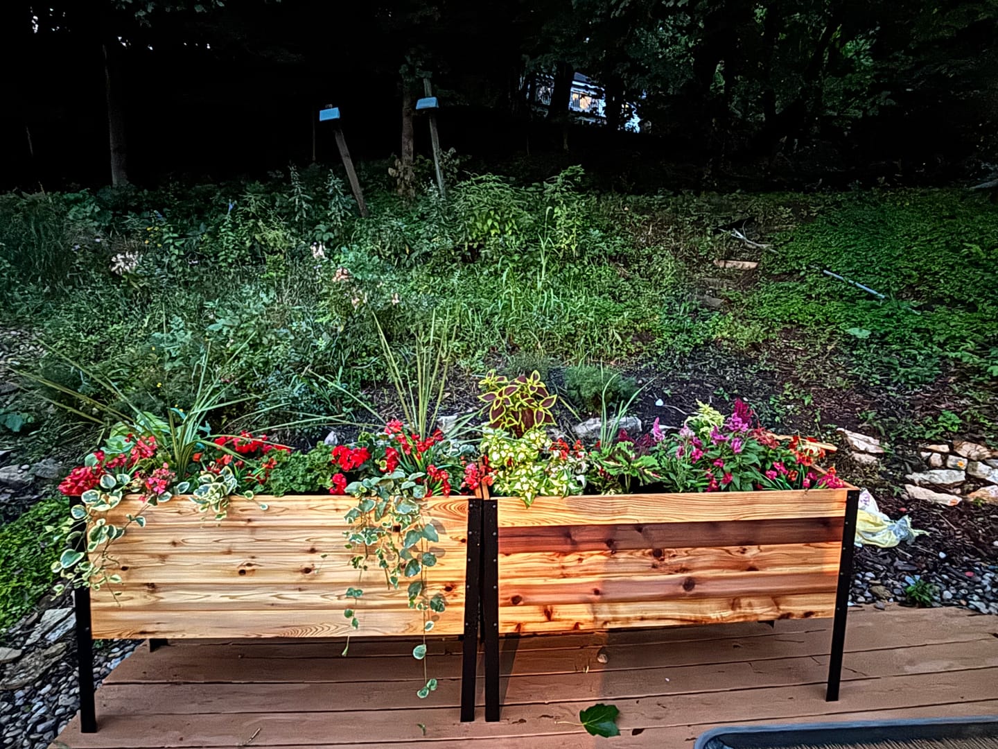 Customer photo review of Anniversary Sale | 18” x 48” Deep Root Raised Garden Bed