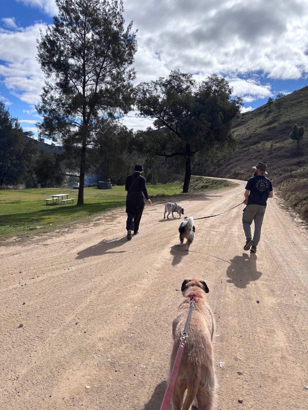 Customer photo review of Dog Lead