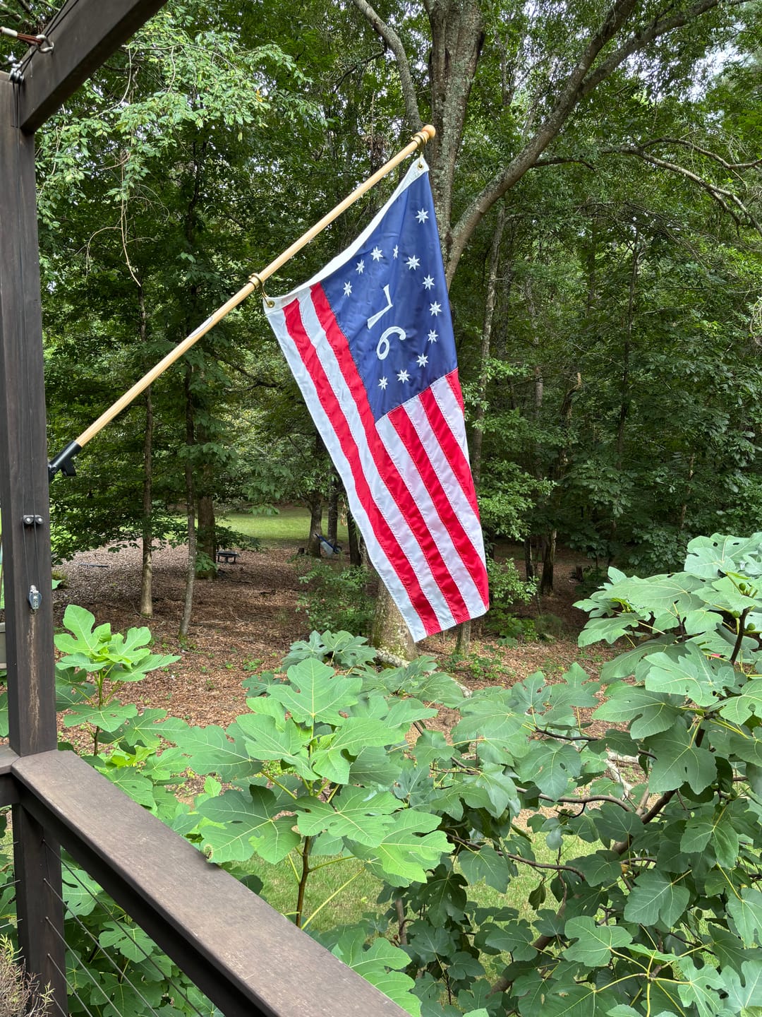 Customer photo review of 3' x 5' Bennington Flag Set