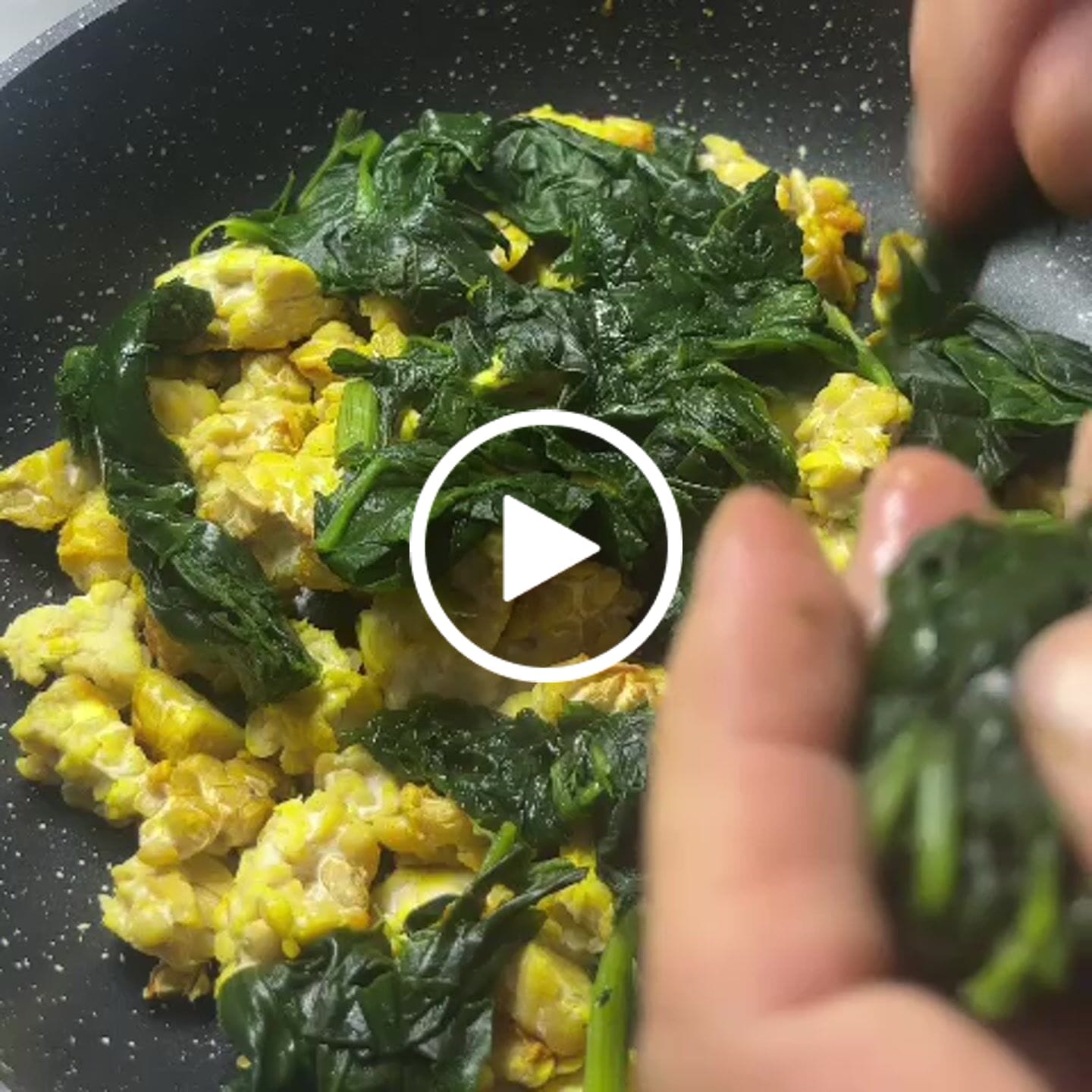 Customer video review of Traditional Tempeh