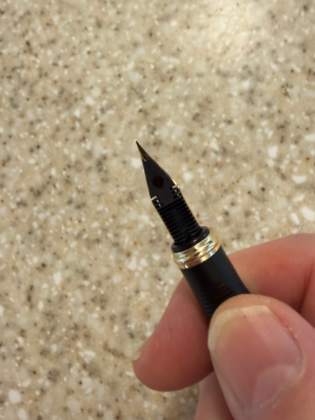 Customer photo review of XV Titanium Gold Flex Nib Set