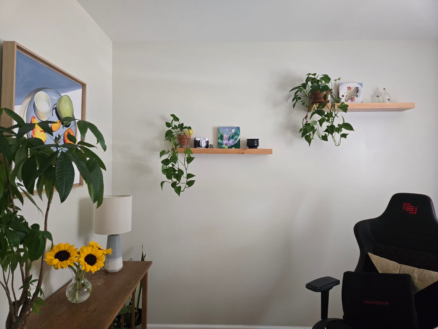 Customer photo review of Rustic Pine Floating Shelves