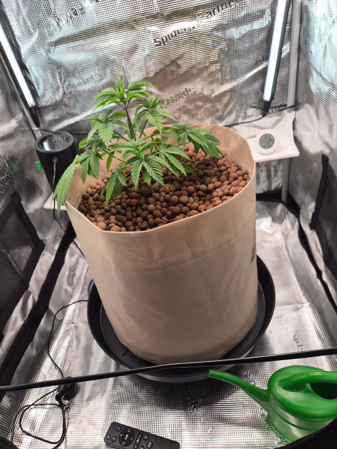 Customer photo review of Root Heaven Stoff Topf