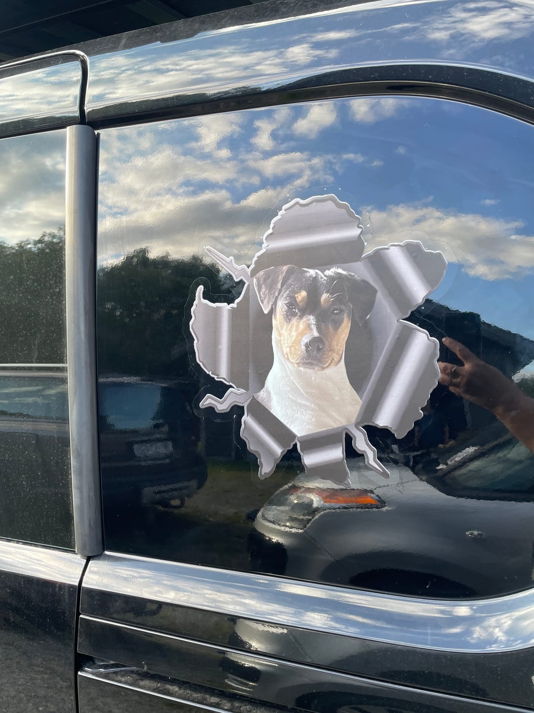 Customer photo review of Personalized Peeking Pets Decal - Gift For Pet Lovers