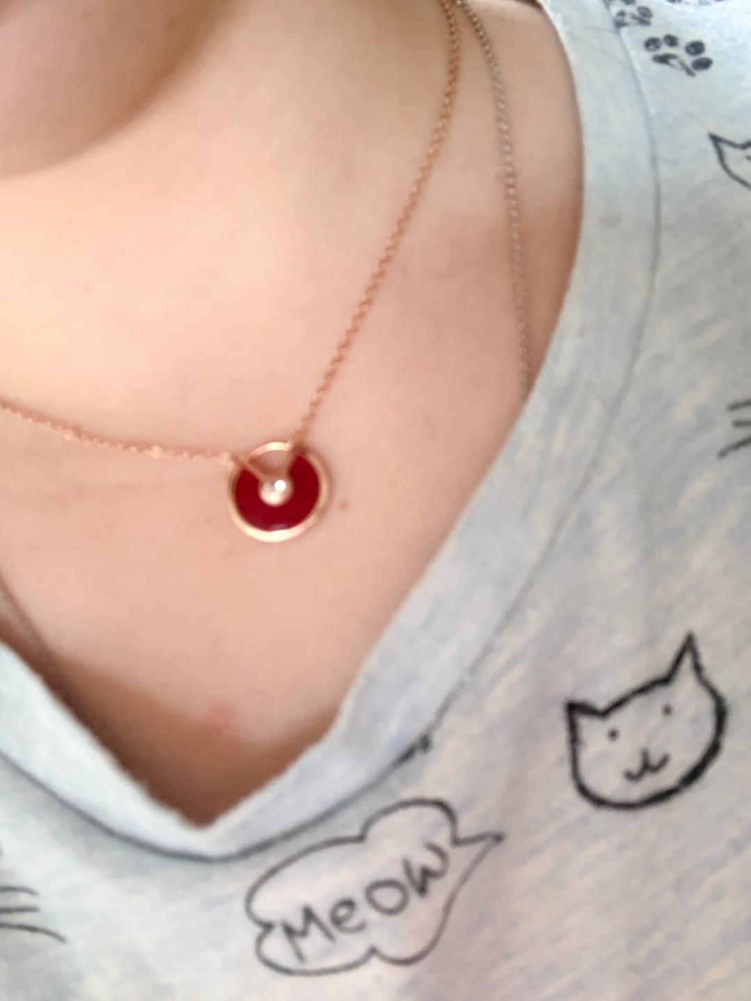 Customer photo review of Karneol Halskette - Kreismedallion