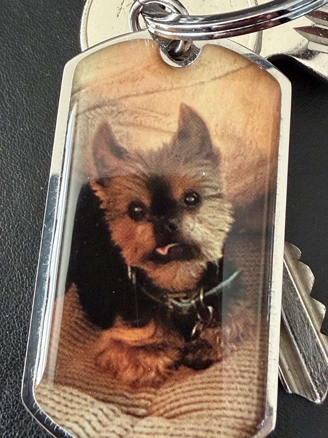 Customer photo review of Personalized Pet Keychain