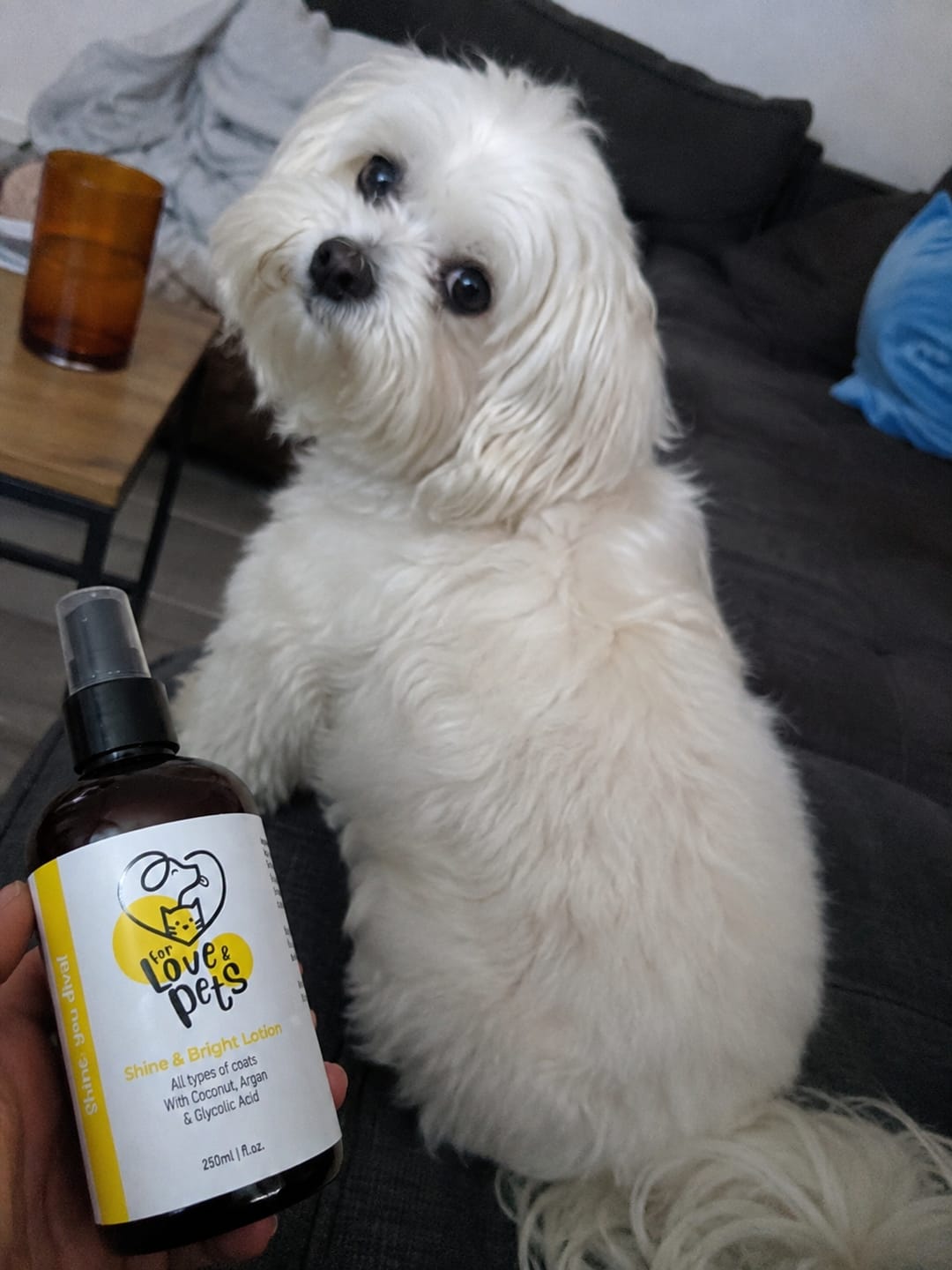 Customer photo review of Λοσιόν Λάμψης για Σκύλους & Γάτες 250ml , Απαλό και Λαμπερό Τρίχωμα Χωρίς Ξέβγαλμα