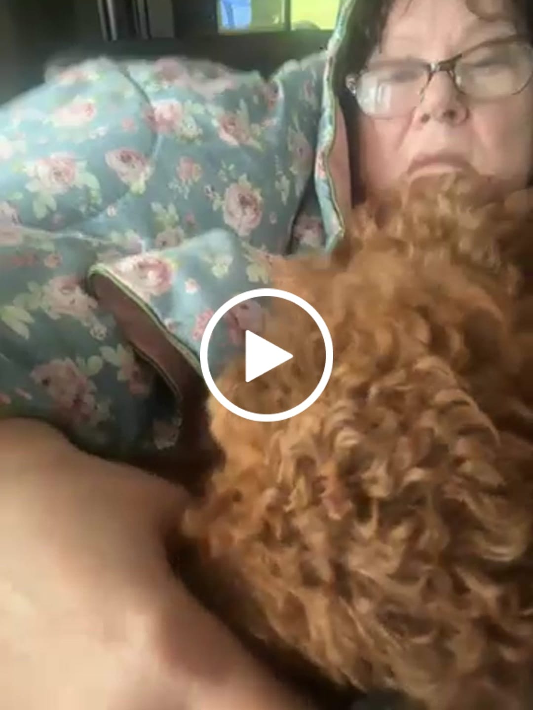 Customer video review of 6 Inch Standard Bully Stick