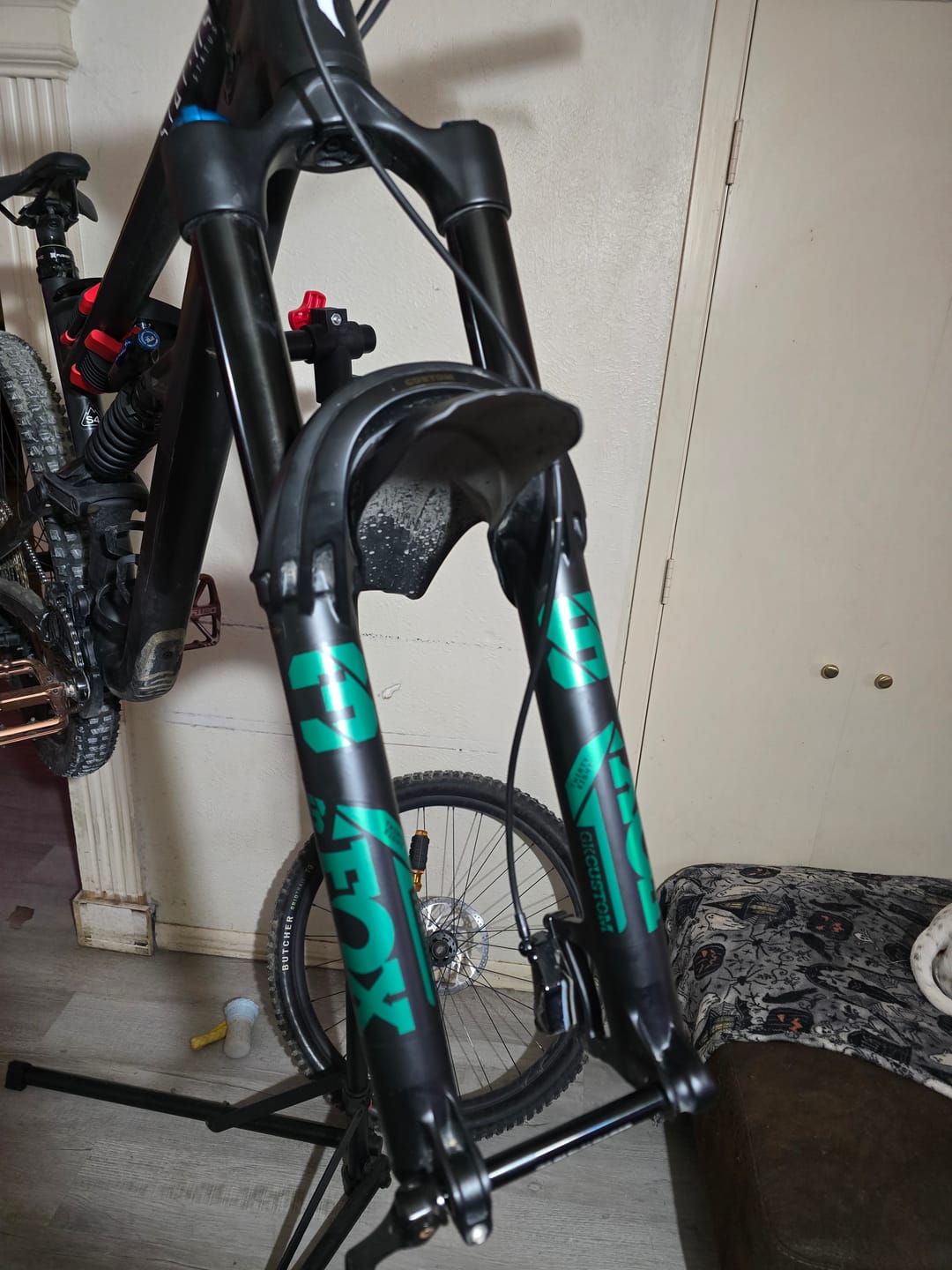 Customer photo review of Custom Fox 38 Decal