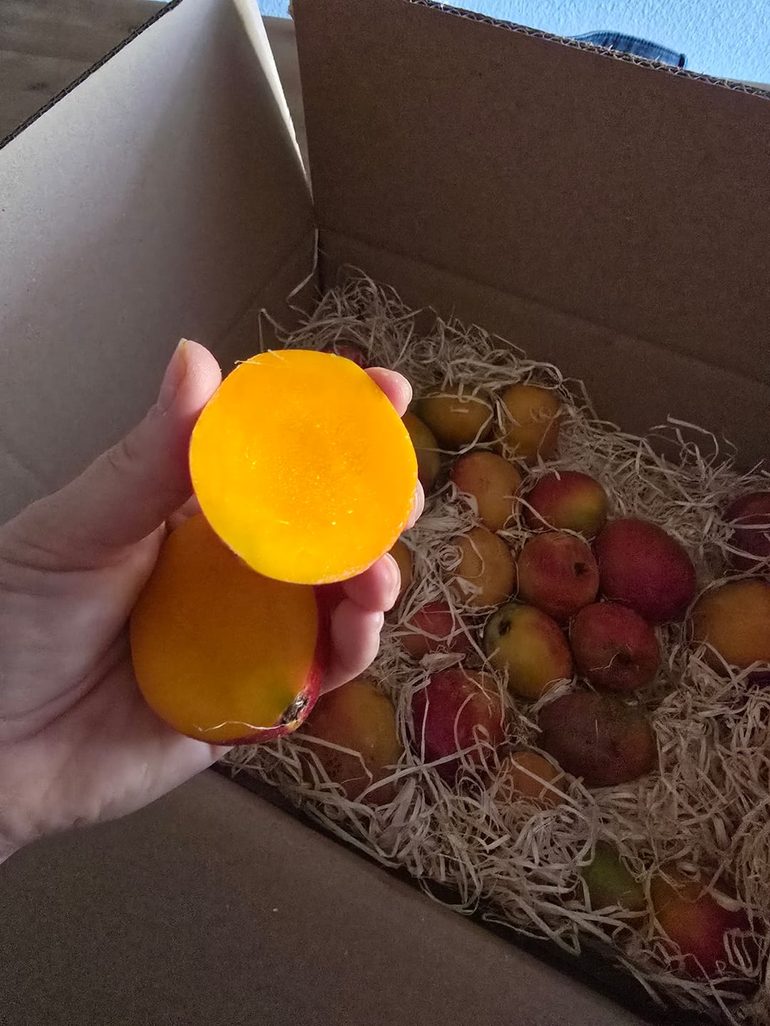 Customer photo review of Baby-Mango Irwin Bio von Julian