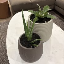 Customer photo review of The Tranquil Pot