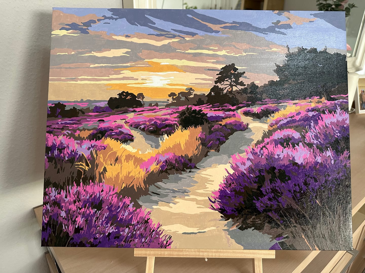 Customer photo review of Malen nach Zahlen - Nationalpark Veluwe
