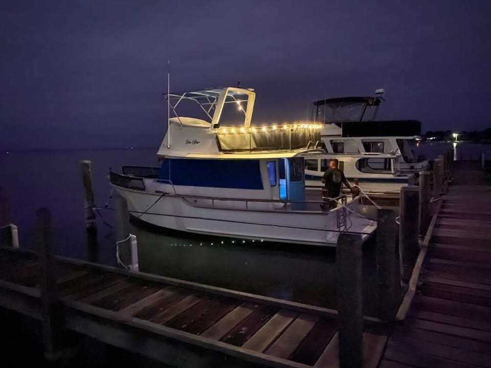 Customer photo review of SolaGarden™ Festoon Lights
