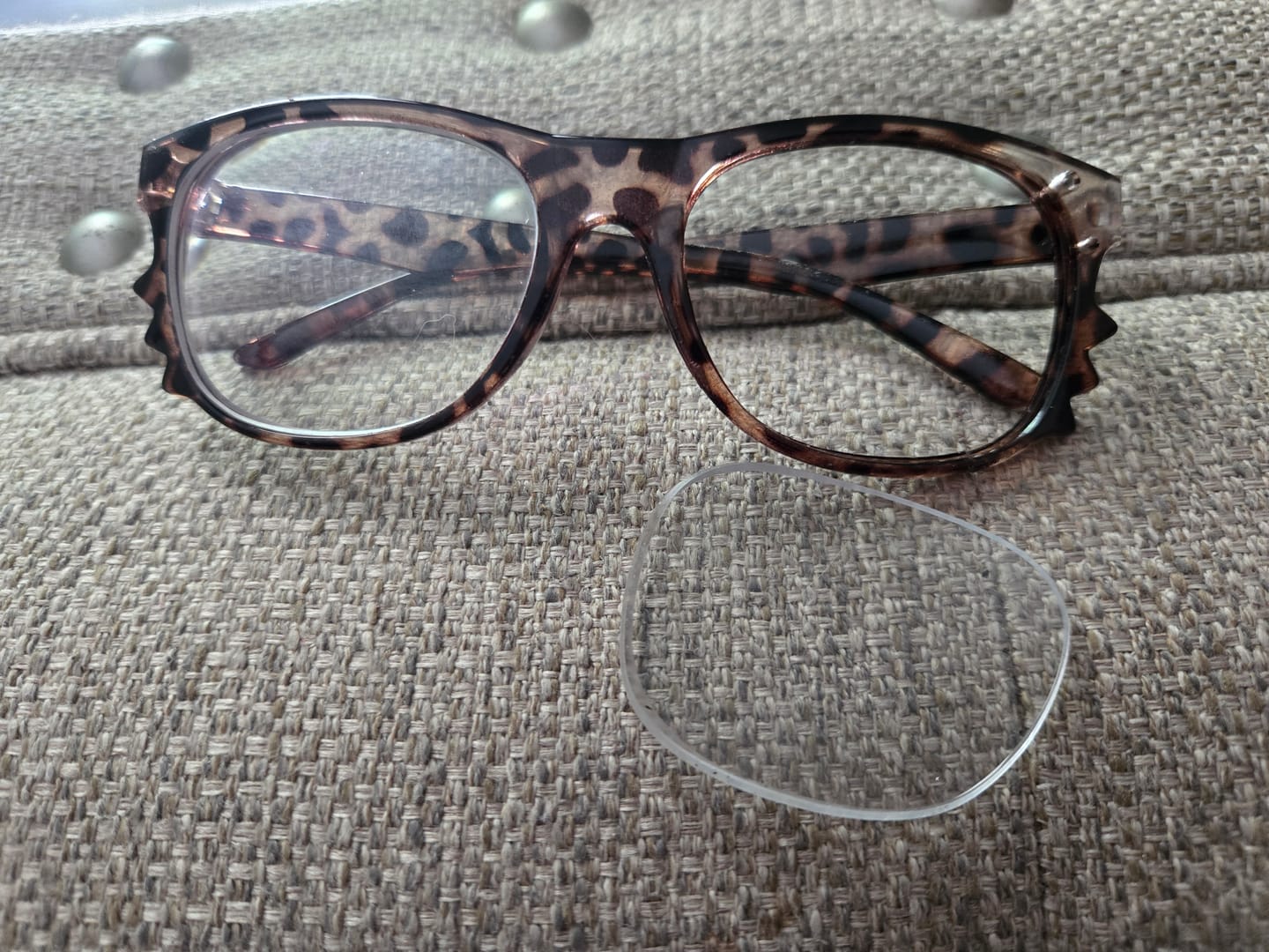 Customer photo review of Kitten Eyeglasses