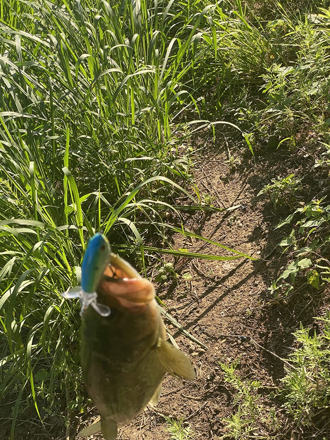 Customer photo review of PoPobait Topwater Bass Lure Plopper Lure | Double Blade
