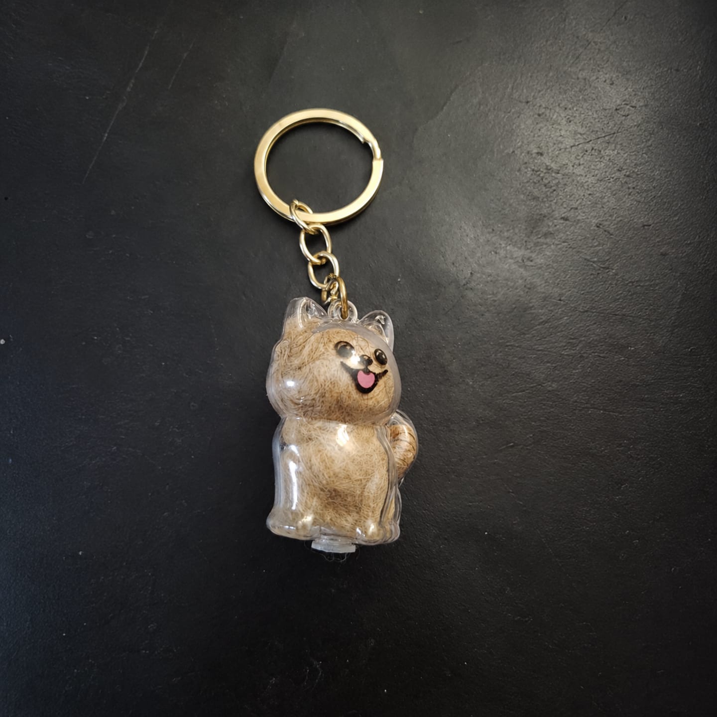 Customer photo review of Llavero para guardar pelo de mascota