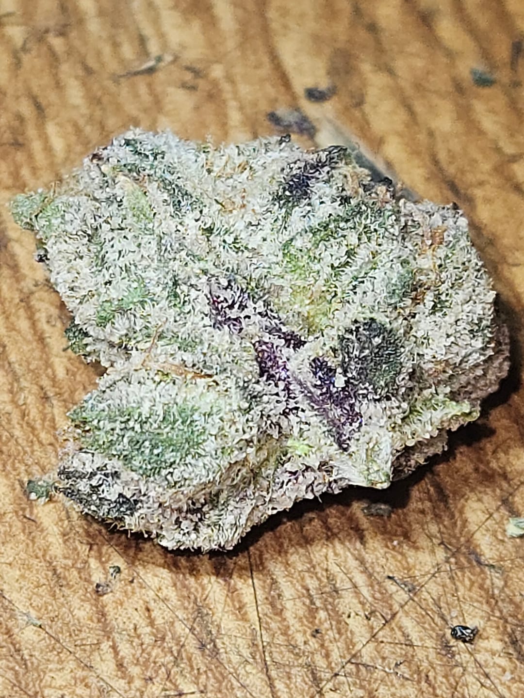 Customer photo review of Elite Boutique Exotic Zooties - Bulk - Hybrid
