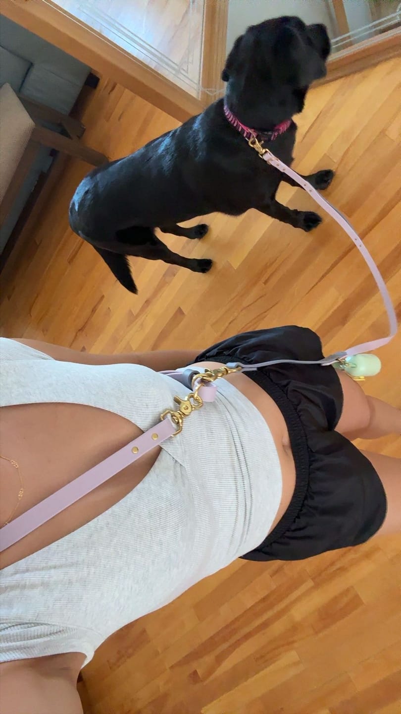 Customer photo review of Hands-Free Leash Adapter