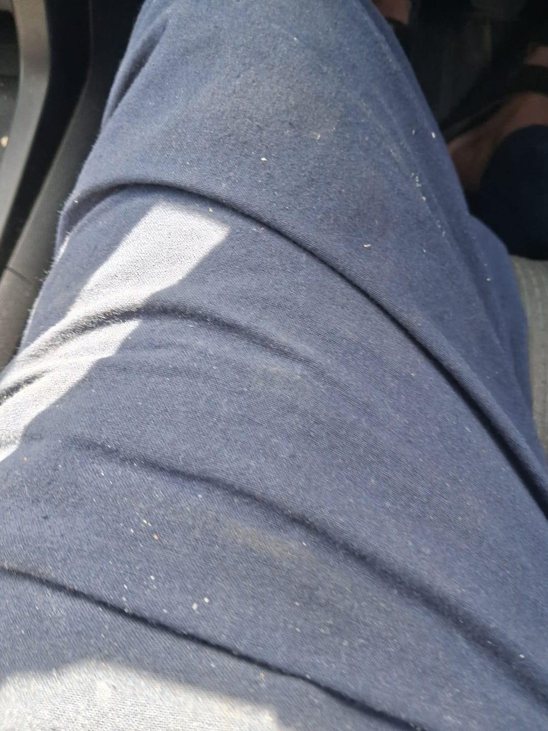 Customer photo review of Men Navy Blue Cotton Pant