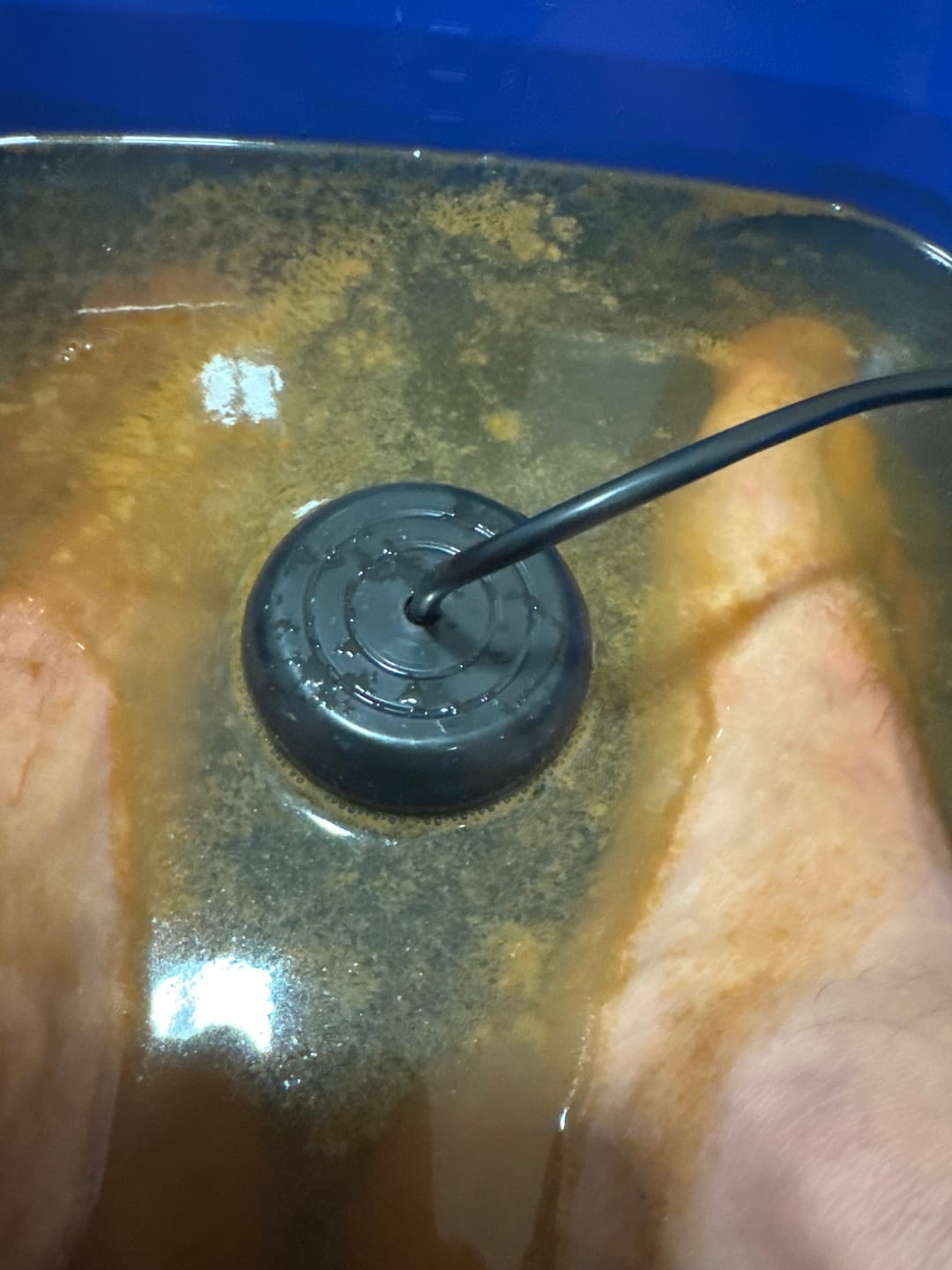 Customer photo review of Lenvia Entgiftungsbad – Der sanfte Ausgleich von innen