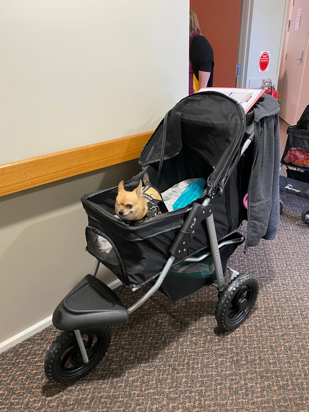 Customer photo review of Pet Dog Stroller Pram - Black